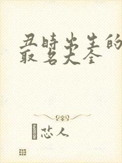 丑时出生的男孩取名大全