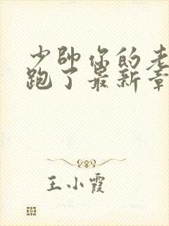 少帅你的老婆又跑了最新章节免费阅读封面