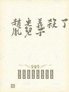 赵光义杀了赵匡胤儿子封面