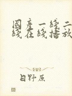 国产一线二线三线在线播放