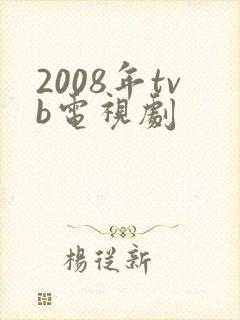 2008年tvb电视剧