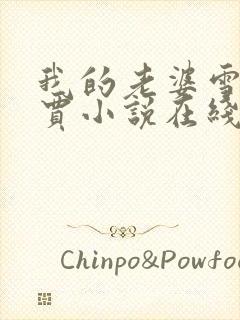 我的老婆雪儿老贾小说在线阅读封面