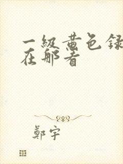 一级黄色录像片在那看