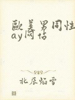 欧美男同性恋gay网站