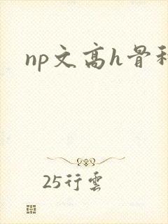 np文高h骨科封面