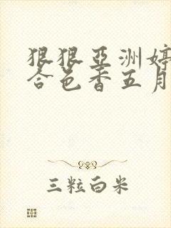 狠狠亚洲婷婷综合色香五月