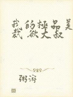 我的极品美女总裁 欲大叔