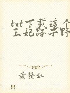 txt下载这个王妃路子野封面