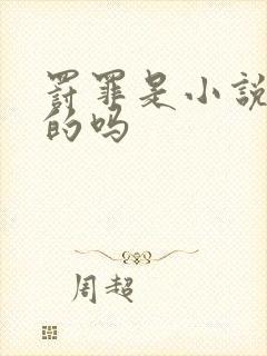 罚罪是小说改编的吗封面