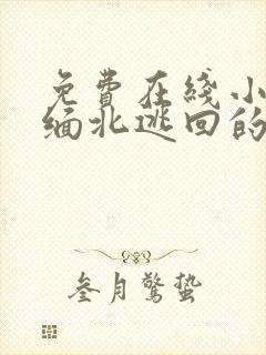 免费在线小说从缅北逃回的我全本阅读