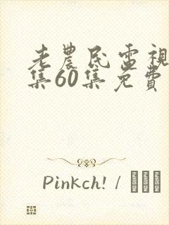 老农民电视剧全集60集免费播放