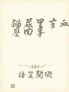 猫尿里有血是怎么回事