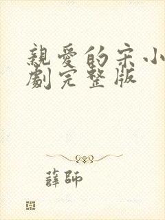 亲爱的宋小姐短剧完整版