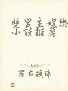 双男主娱乐圈文小说推荐封面