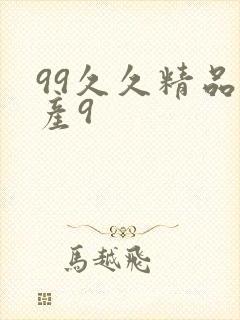 99久久精品国产9