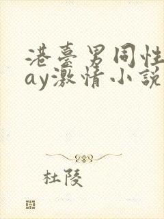 港台男同性恋gay激情小说