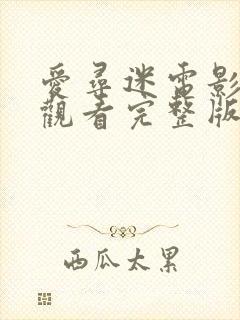 爱寻迷电影在线观看完整版