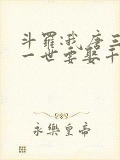 斗罗:我唐三这一世要娶千仞雪封面