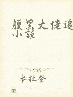 腹黑大佬追妻路小说