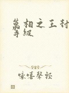 万相之王封侯术等级