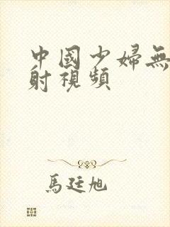 中国少妇无套内射视频