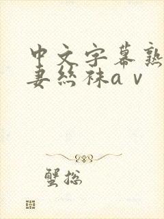 中文字幕熟女人妻丝袜aⅴ