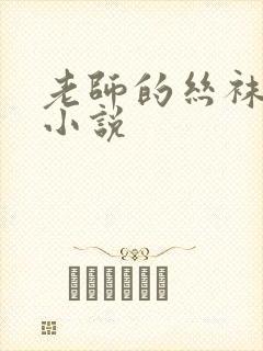 老师的丝袜美腿小说