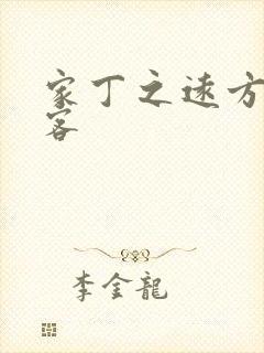 家丁之远方的来客