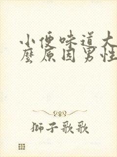 小便味道大是什么原因男性