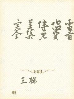 完美伴侣电视剧全集免费看