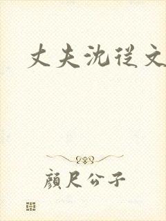 丈夫沈从文封面