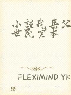 小说我岳父是李世民完本