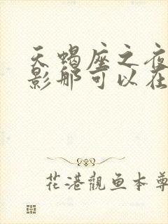 天蝎座之夜3电影那可以在线观看封面