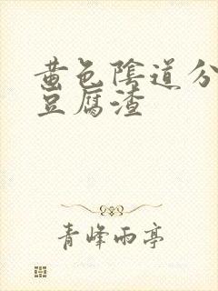 黄色阴道分泌物豆腐渣