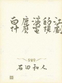 白鹿演的江君是什么电视剧