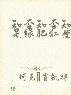 知否知否知否应是绿肥红瘦是哪个季节封面