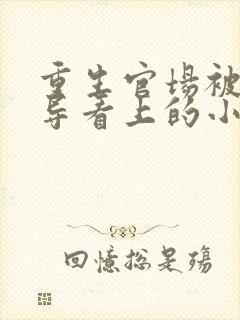 重生官场被大领导看上的小说