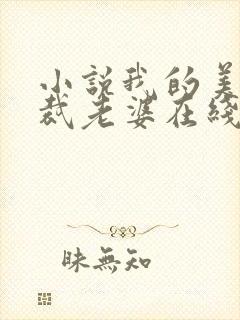 小说我的美女总裁老婆在线阅读封面