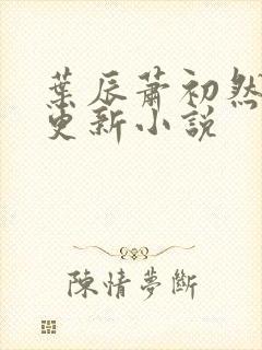 叶辰萧初然最快更新小说