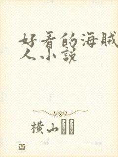 好看的海贼王同人小说封面