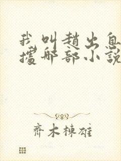 我叫赵出息是根据哪部小说改编的