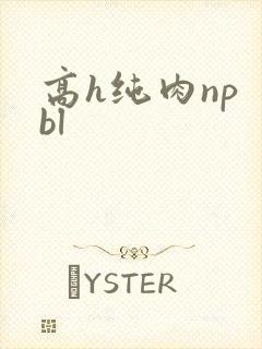 高h纯肉np bl