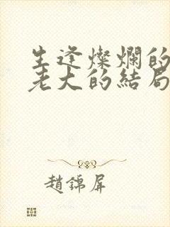 生逢灿烂的日子老大的结局封面