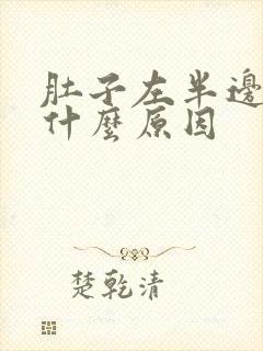 肚子左半边痛是什么原因