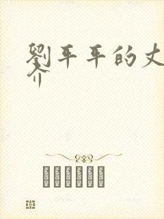 刘平平的丈夫简介