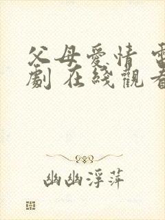 父母爱情 电视剧 在线观看