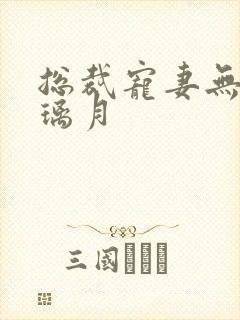 总裁宠妻无度沈璃月