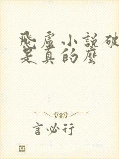 飞卢小说破解版是真的么