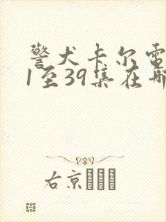 警犬卡尔电视剧1至39集在哪里看