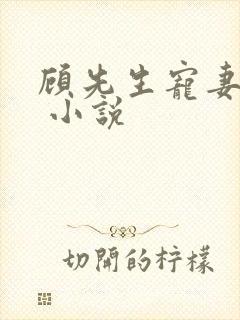 顾先生宠妻有度 小说